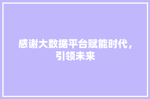 感谢大数据平台赋能时代，引领未来