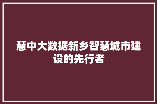 慧中大数据新乡智慧城市建设的先行者
