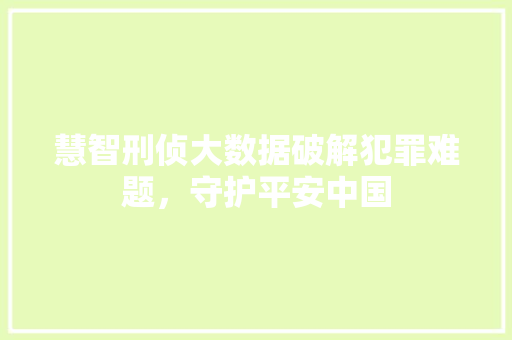 慧智刑侦大数据破解犯罪难题，守护平安中国