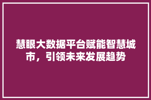 慧眼大数据平台赋能智慧城市，引领未来发展趋势
