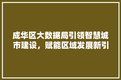 成华区大数据局引领智慧城市建设，赋能区域发展新引擎