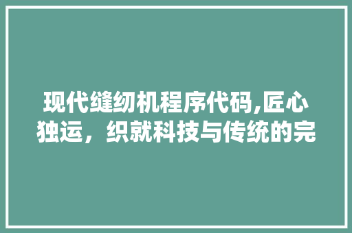 现代缝纫机程序代码,匠心独运，织就科技与传统的完美融合