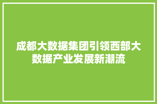 成都大数据集团引领西部大数据产业发展新潮流