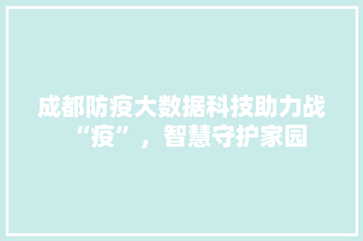 成都防疫大数据科技助力战“疫”，智慧守护家园