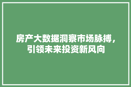 房产大数据洞察市场脉搏，引领未来投资新风向 友链在线