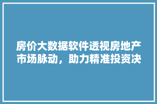 房价大数据软件透视房地产市场脉动，助力精准投资决策