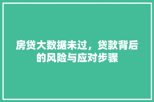 房贷大数据未过，贷款背后的风险与应对步骤