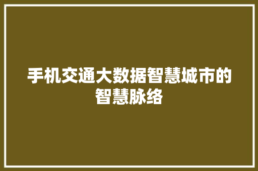 手机交通大数据智慧城市的智慧脉络