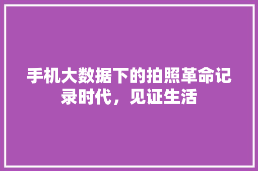 手机大数据下的拍照革命记录时代，见证生活