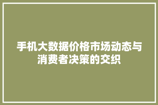 手机大数据价格市场动态与消费者决策的交织