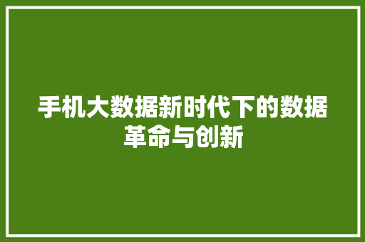手机大数据新时代下的数据革命与创新