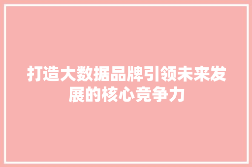 打造大数据品牌引领未来发展的核心竞争力