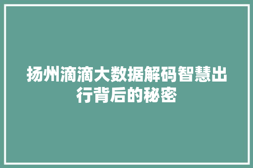 扬州滴滴大数据解码智慧出行背后的秘密