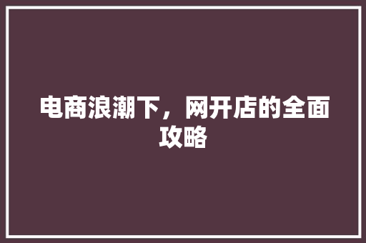 电商浪潮下，网开店的全面攻略