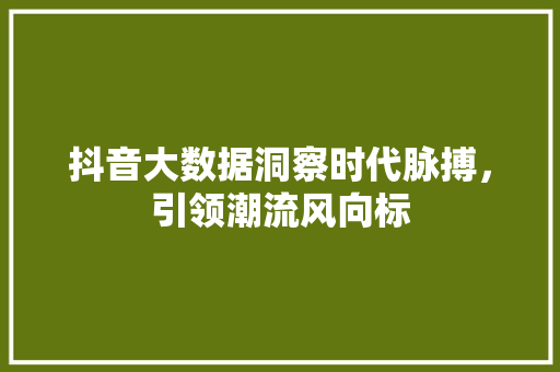 抖音大数据洞察时代脉搏，引领潮流风向标