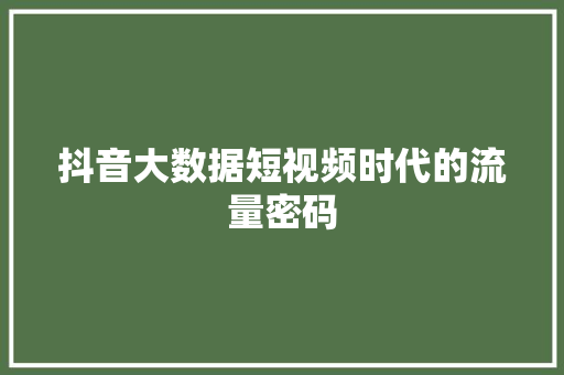 抖音大数据短视频时代的流量密码