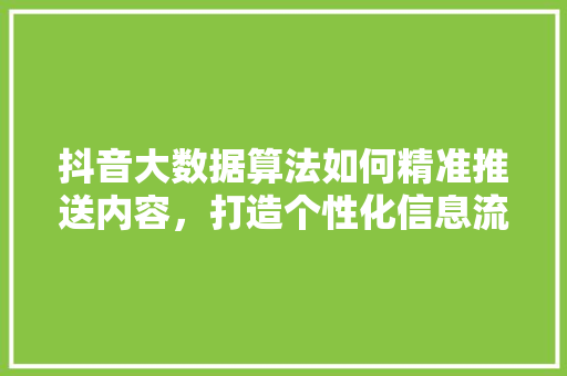抖音大数据算法如何精准推送内容，打造个性化信息流