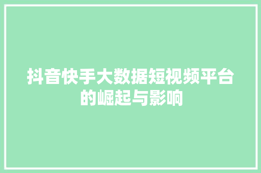 抖音快手大数据短视频平台的崛起与影响