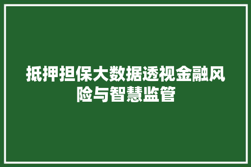 抵押担保大数据透视金融风险与智慧监管