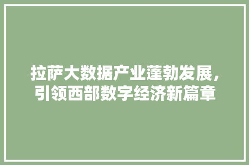 拉萨大数据产业蓬勃发展，引领西部数字经济新篇章