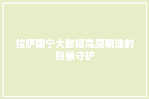 拉萨康宁大数据高原明珠的智慧守护