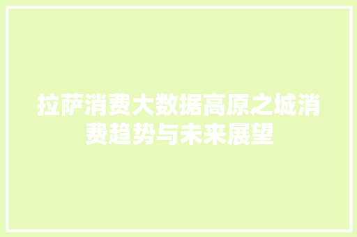 拉萨消费大数据高原之城消费趋势与未来展望