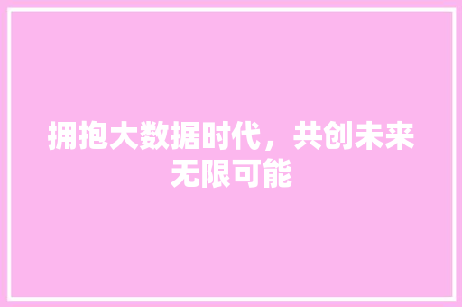 拥抱大数据时代，共创未来无限可能