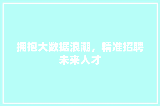 拥抱大数据浪潮，精准招聘未来人才 友链在线