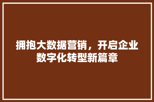 拥抱大数据营销，开启企业数字化转型新篇章 WordPress教程