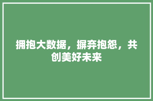 拥抱大数据，摒弃抱怨，共创美好未来 建站教程
