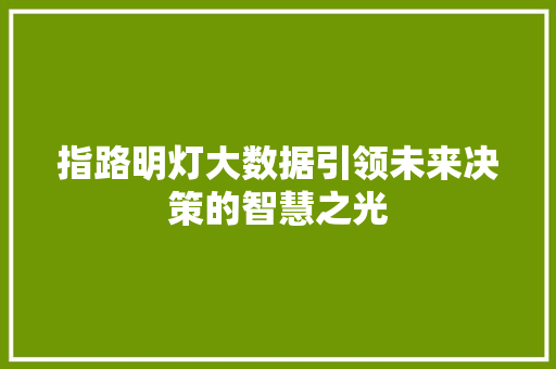 指路明灯大数据引领未来决策的智慧之光 Web前端