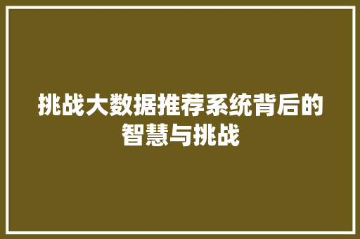 挑战大数据推荐系统背后的智慧与挑战