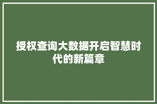 授权查询大数据开启智慧时代的新篇章