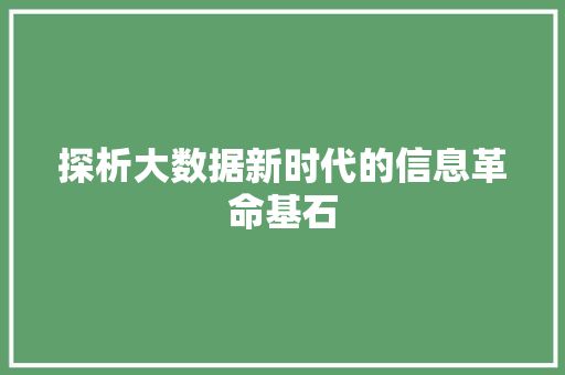 探析大数据新时代的信息革命基石