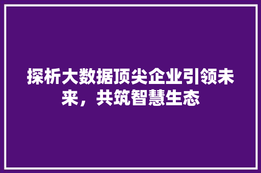 探析大数据顶尖企业引领未来，共筑智慧生态