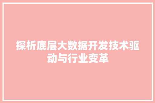 探析底层大数据开发技术驱动与行业变革