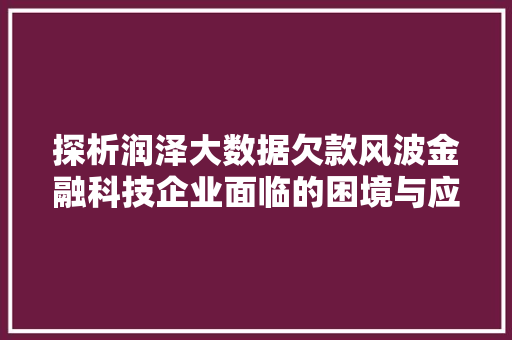 探析润泽大数据欠款风波金融科技企业面临的困境与应对之路