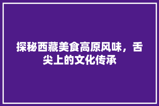 探秘西藏美食高原风味，舌尖上的文化传承
