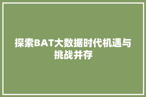 探索BAT大数据时代机遇与挑战并存 Web前端