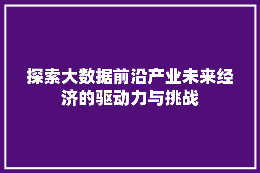 探索大数据前沿产业未来经济的驱动力与挑战