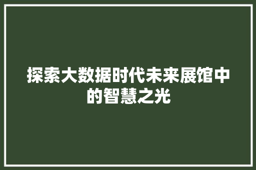 探索大数据时代未来展馆中的智慧之光