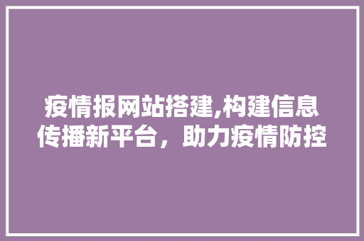 疫情报网站搭建,构建信息传播新平台，助力疫情防控