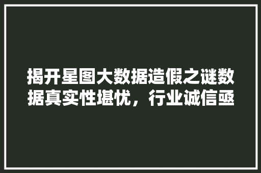 揭开星图大数据造假之谜数据真实性堪忧，行业诚信亟待重建