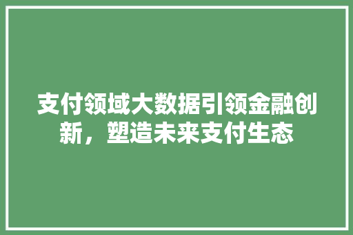 支付领域大数据引领金融创新，塑造未来支付生态 友链在线