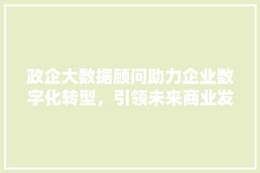 政企大数据顾问助力企业数字化转型，引领未来商业发展