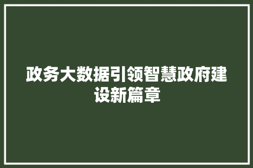 政务大数据引领智慧政府建设新篇章