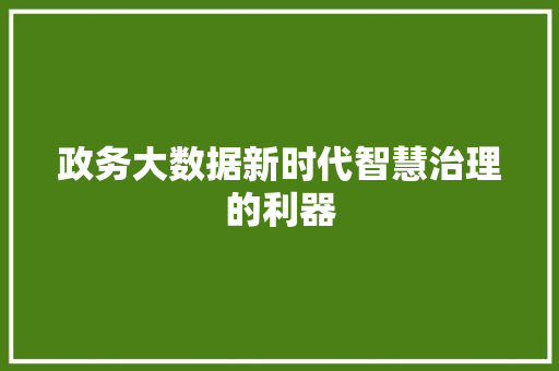 政务大数据新时代智慧治理的利器