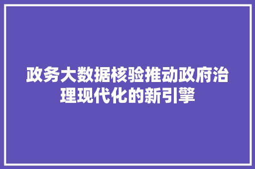 政务大数据核验推动政府治理现代化的新引擎