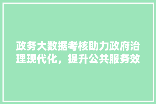 政务大数据考核助力政府治理现代化，提升公共服务效能