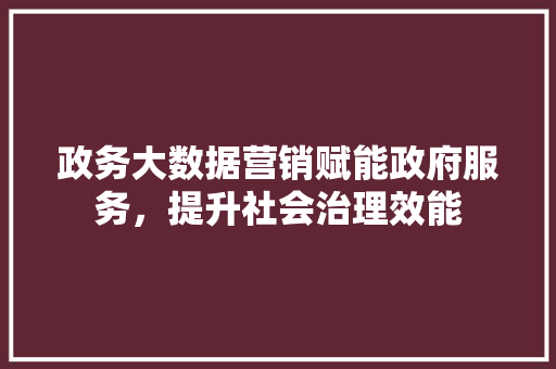 政务大数据营销赋能政府服务，提升社会治理效能
